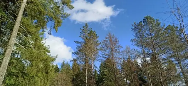 274352054_112505581361381_7794769287865098255_n