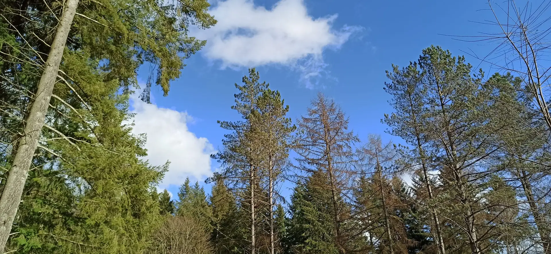 274352054_112505581361381_7794769287865098255_n