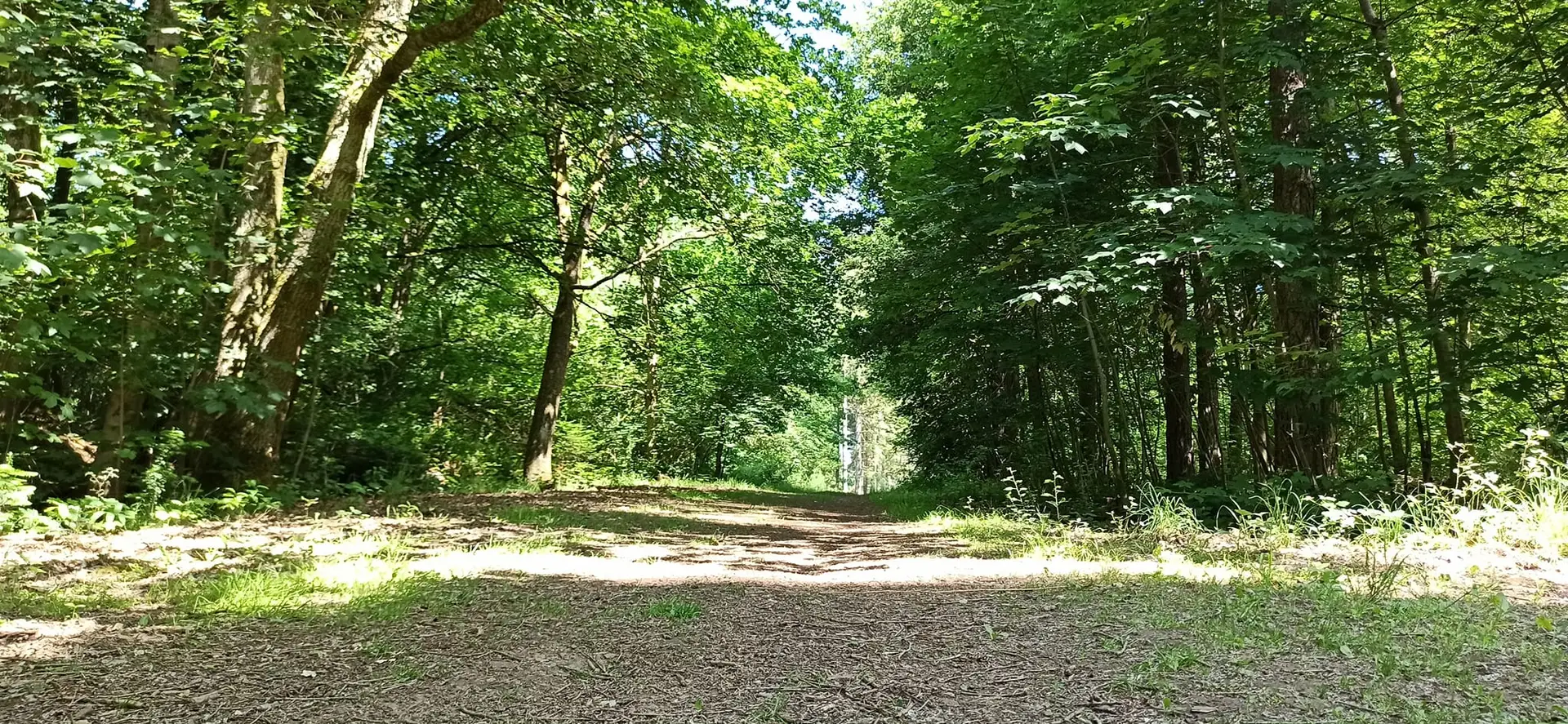 347399469_754191666712614_80772507417554682_n