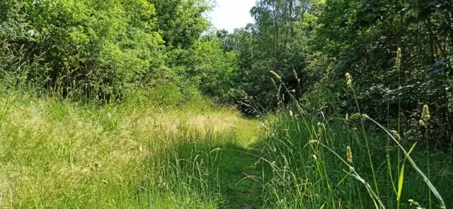 347447349_754192310045883_4776725045913184893_n