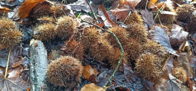 399617386_3660736244142392_7775487642357491869_n