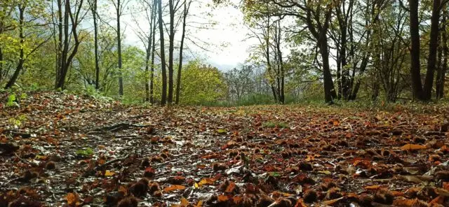 399654247_3660736160809067_4138132850538224930_n