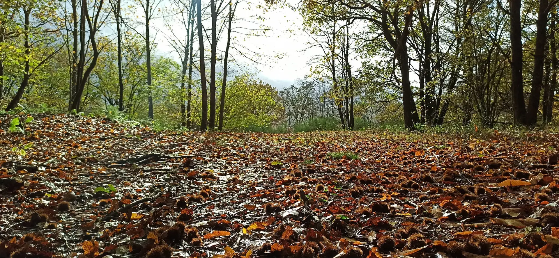 399654247_3660736160809067_4138132850538224930_n